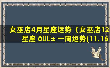 女巫店4月星座运势（女巫店12星座 🐱 一周运势(11.16-11.22)）